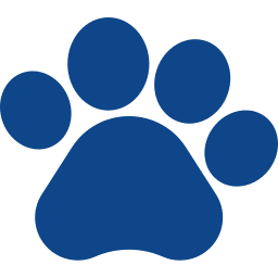 blue paw print icon transparent background